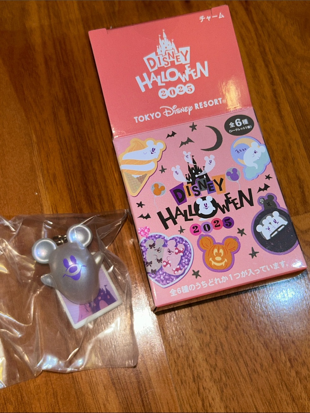 Brand New in Open Box Disney Tokyo Disney Resort Halloween 👻 2025 Ghost Charm